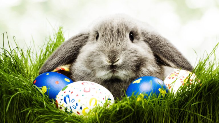 Kellemes húsvétot mindenkinek!